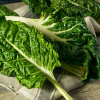 Silverbeet- Large White Ribbed