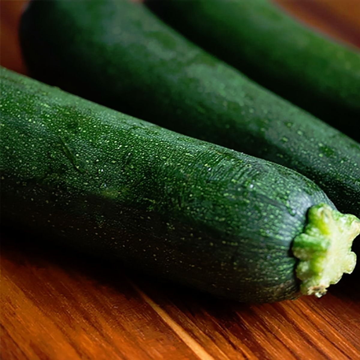 Zucchini- Black Beauty