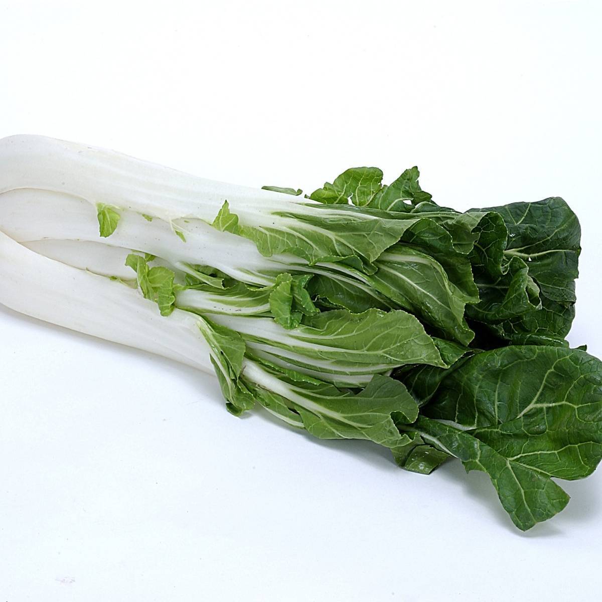 Cabbage, Chinese- Pak Choi - Kwang Moon