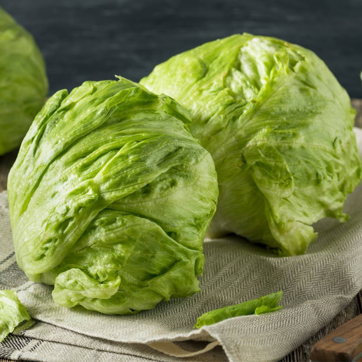 Lettuce- Iceberg