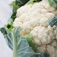 Cauliflower- First Early