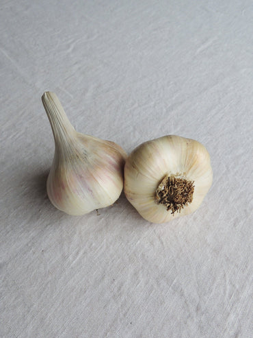 Garlic- Australian White ()