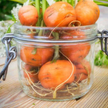 Carrot- Mercado De Paris