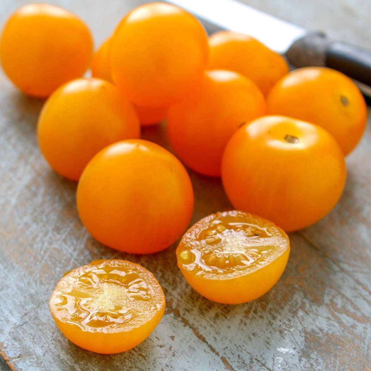 Tomato- Jaune Flamme