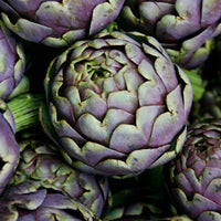 Artichoke- Romanesco