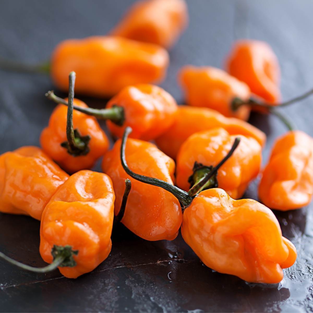 Chilli- Habanero Orange