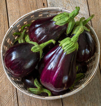 Black Beauty Organic Eggplant Seeds