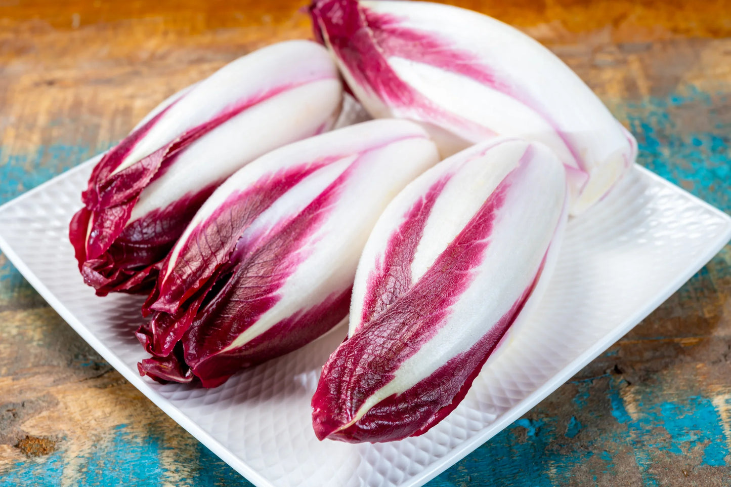 Chicory- Treviso Red