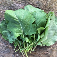 Mustard Greens- Ethiopian