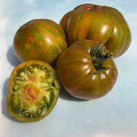 Tomato- Berkeley Tie Dye Green