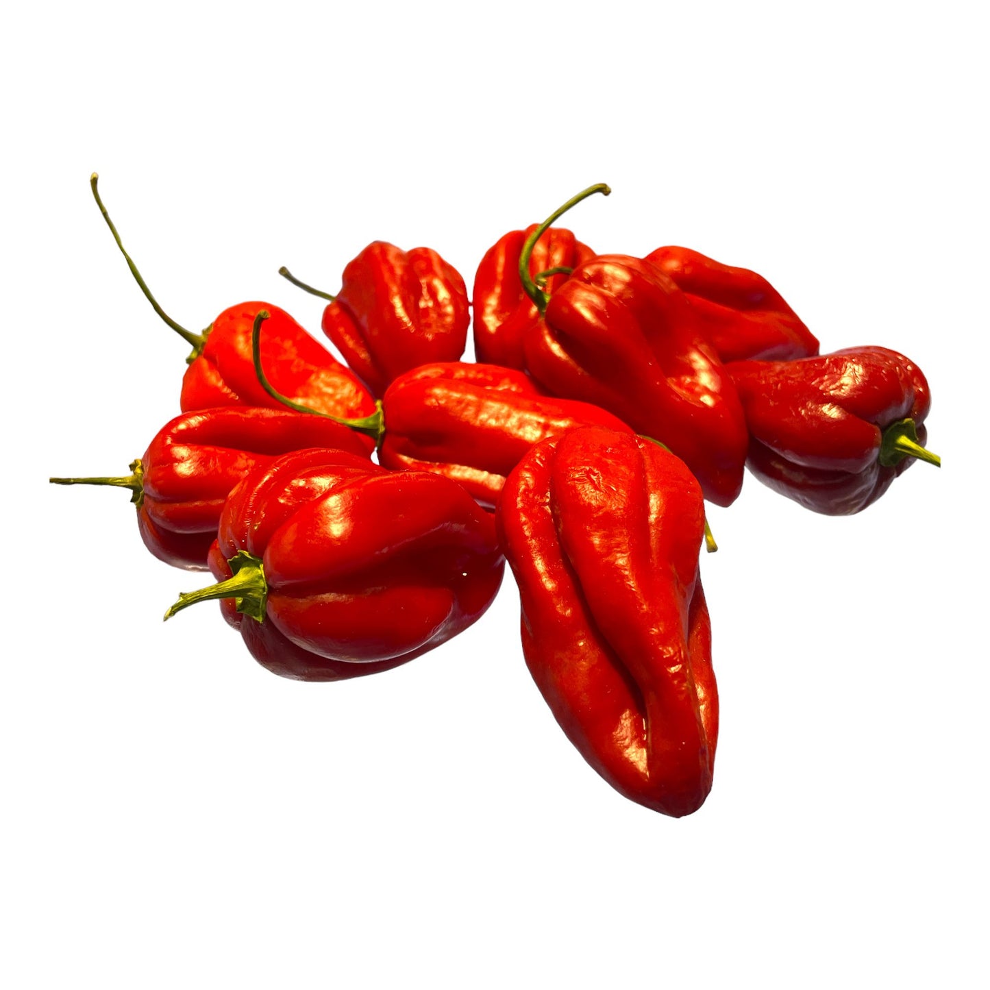 Chilli- Habanero Red