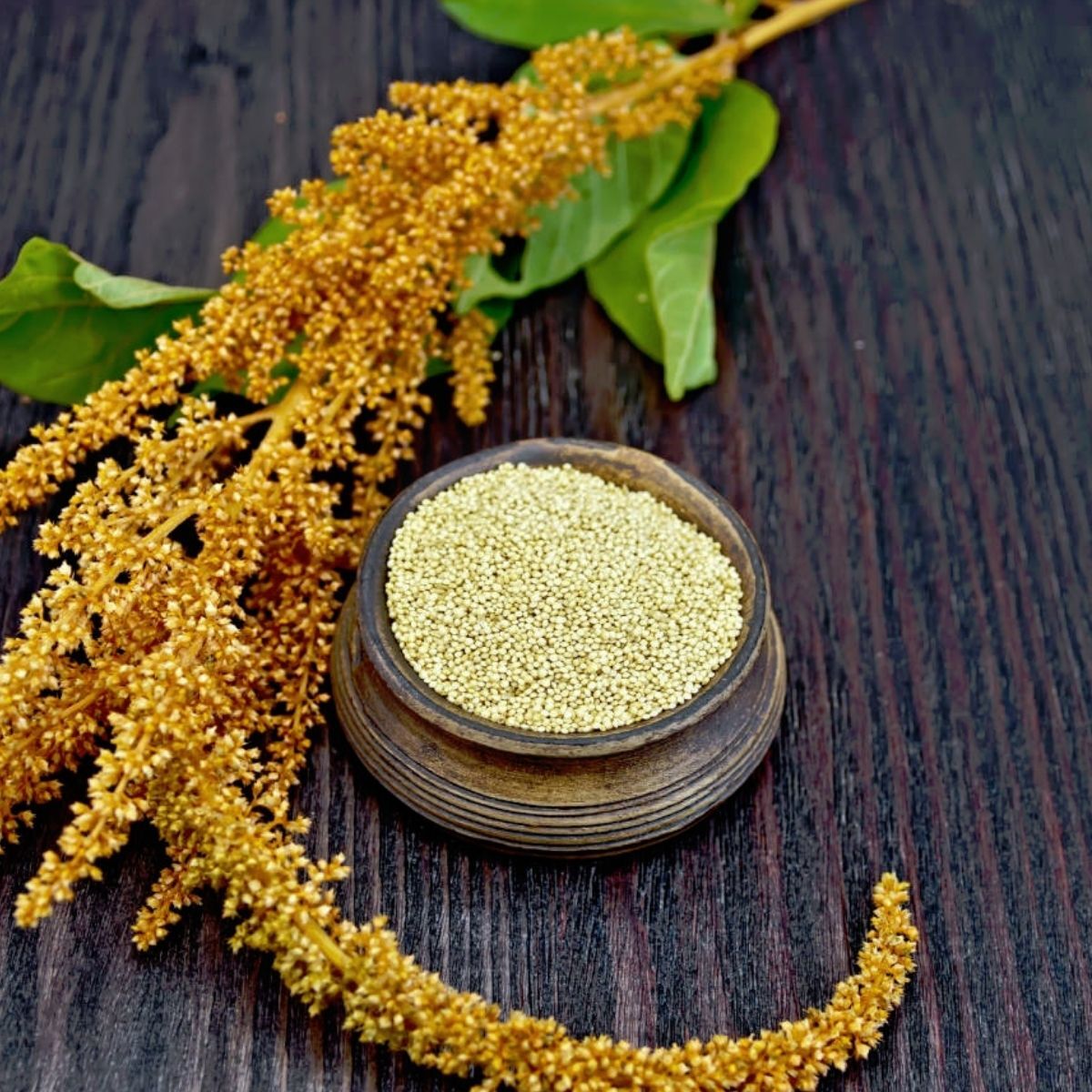 Grain Amaranth- Golden