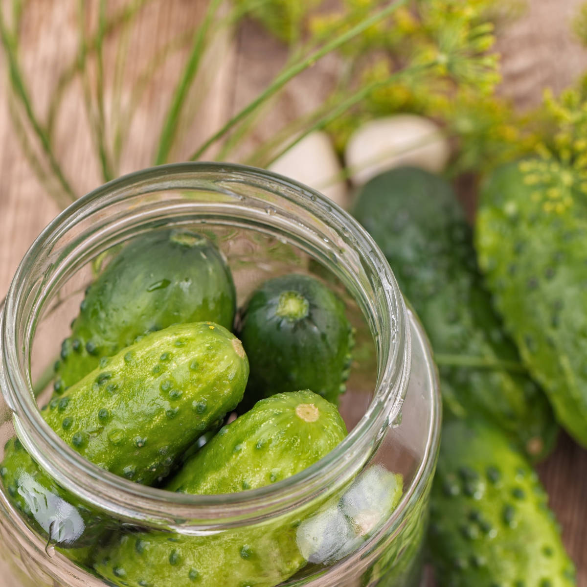 Cucumber- National Pickling