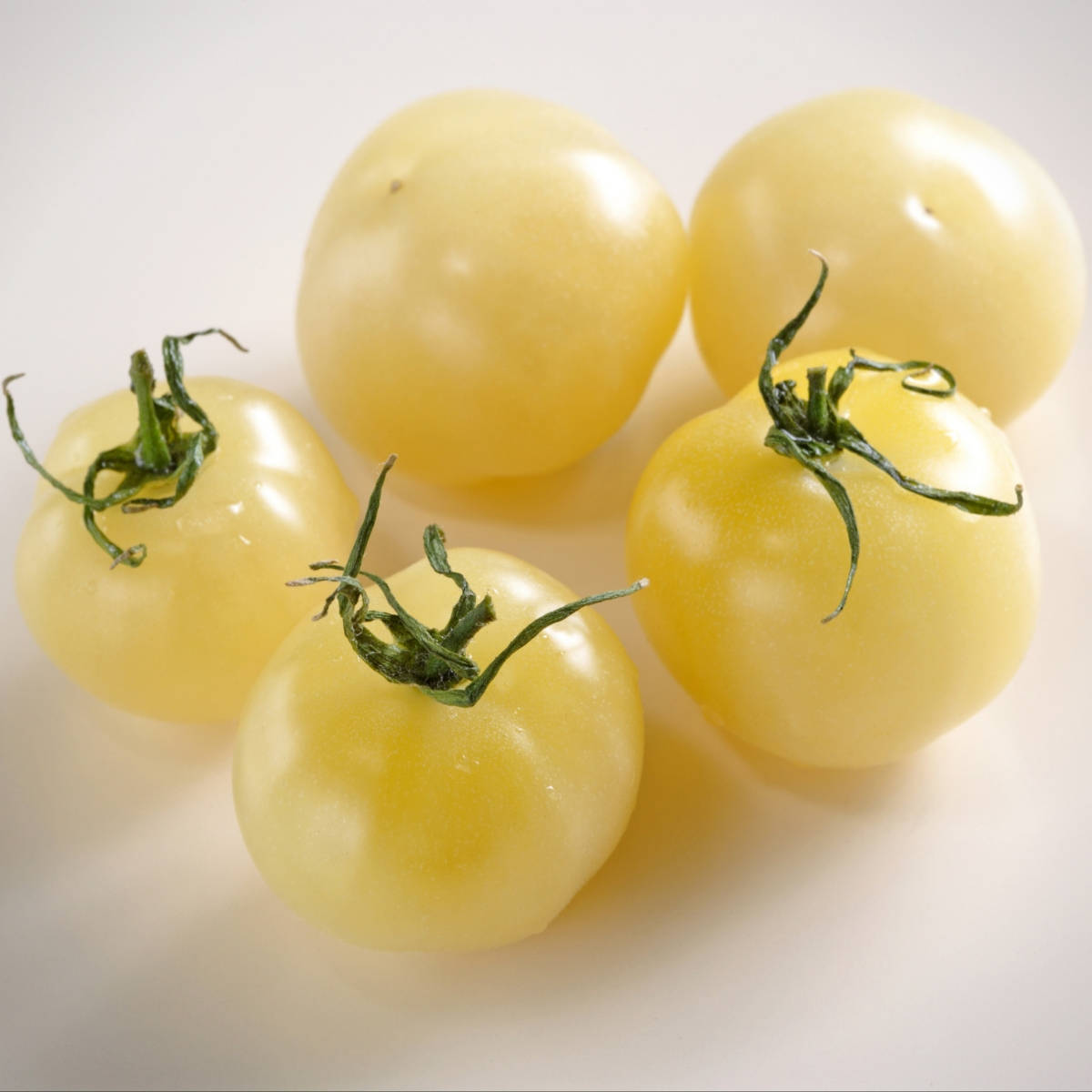 Tomato- White Cherry