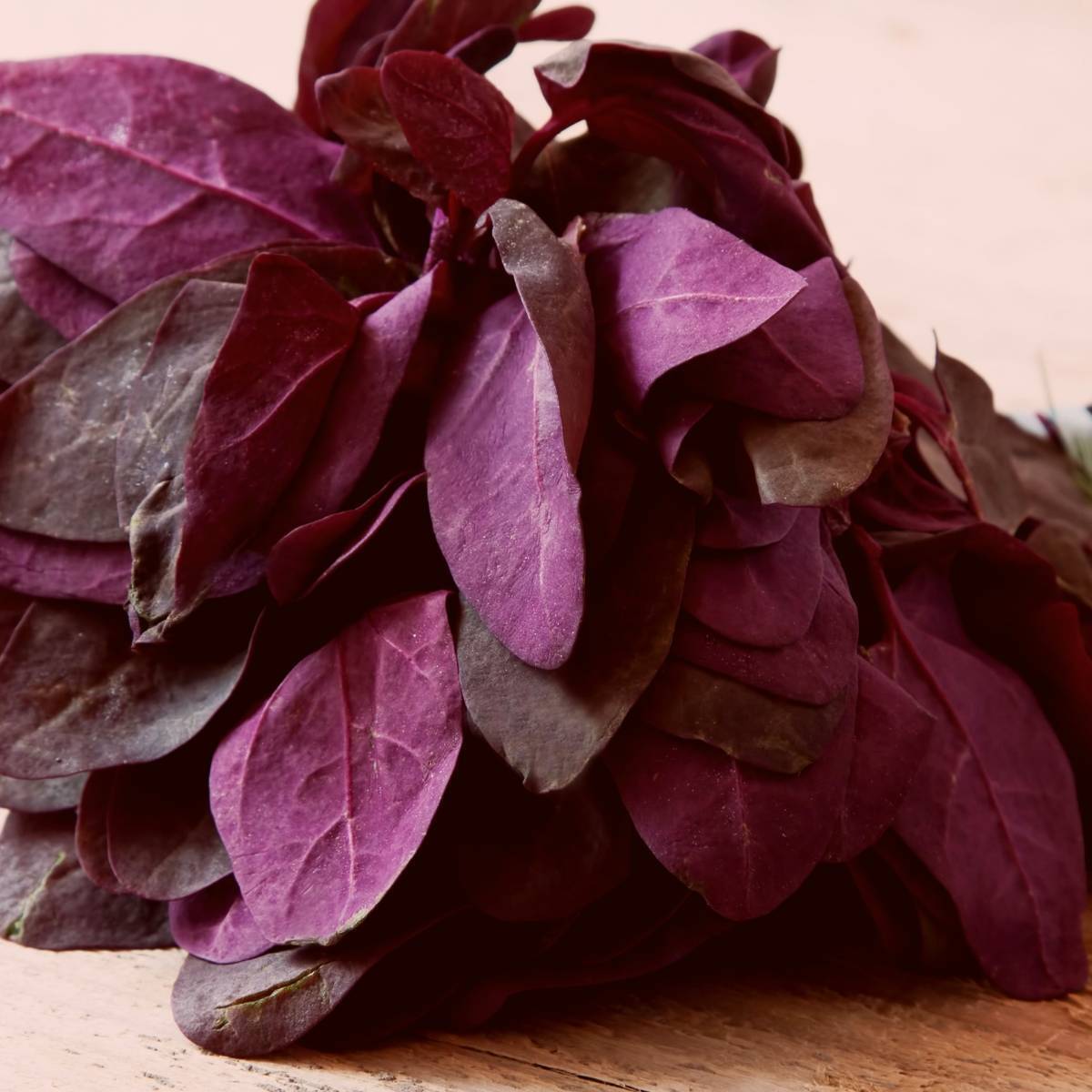 Orach- Fire Red