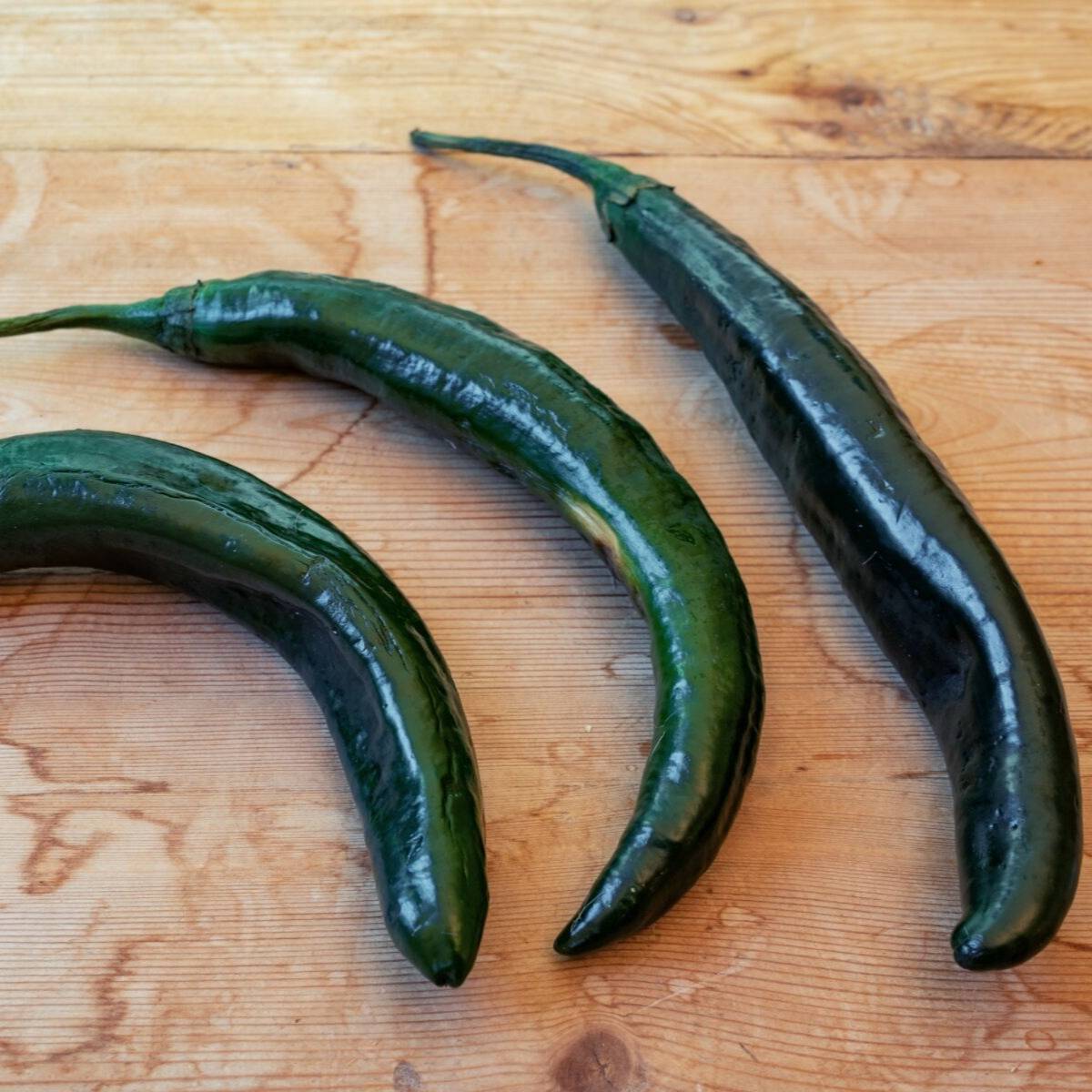 Chilli- Pasilla Bajio