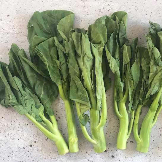 Chinese Broccoli- Hong Kong