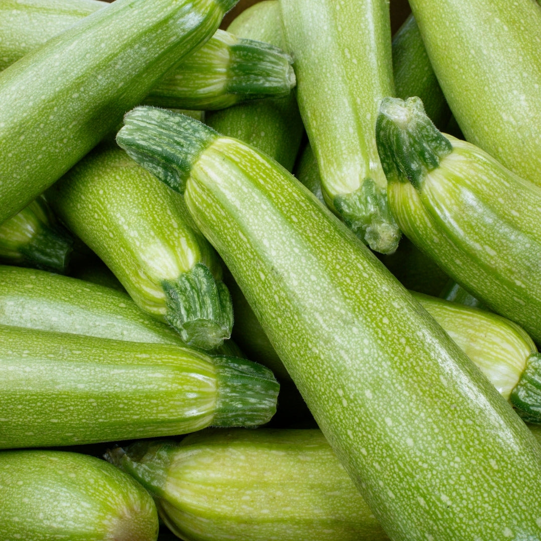 Zucchini- Genovese