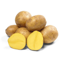 Belmonda – Seed Potatoes