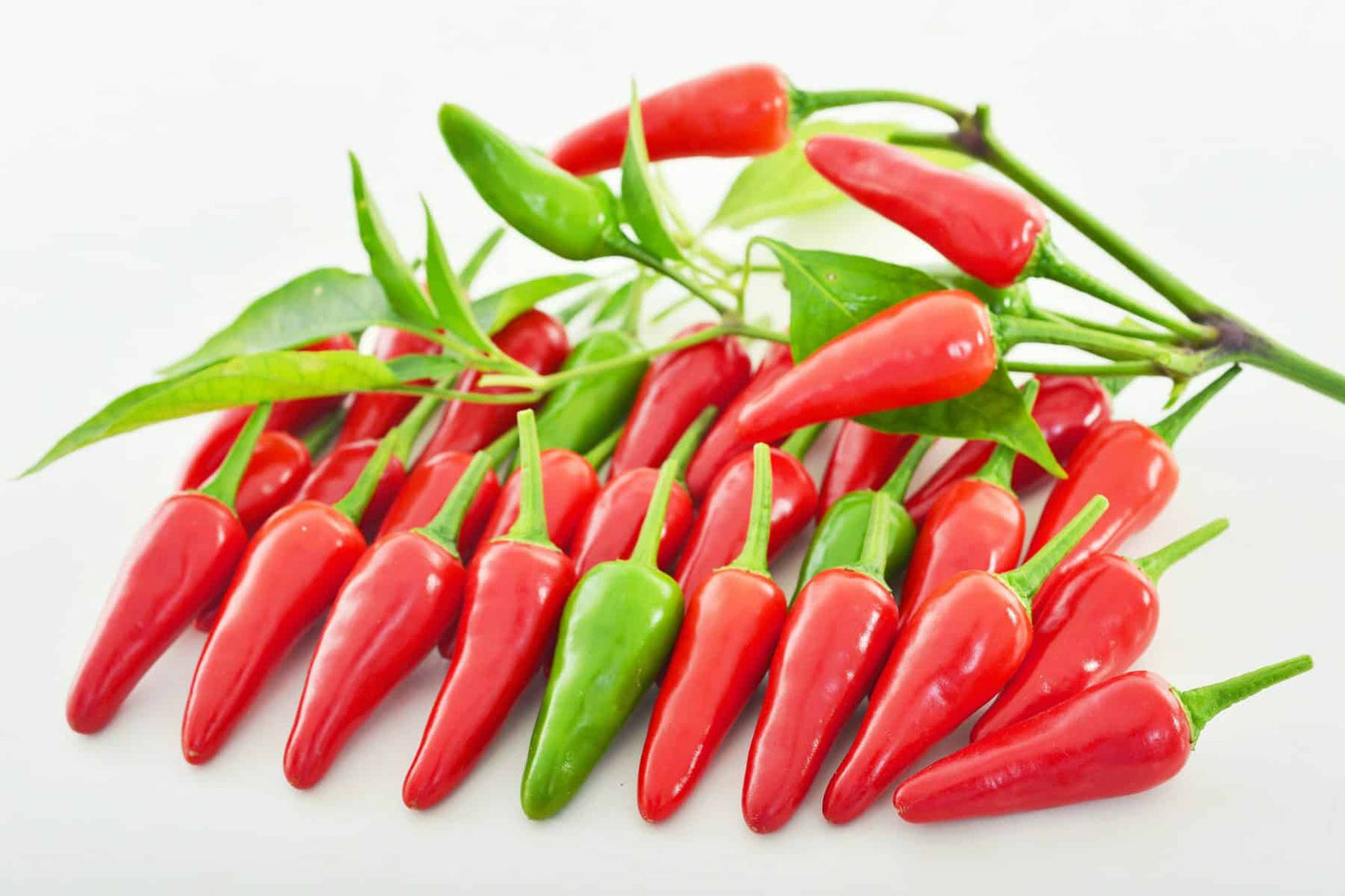 Hot Pepper Red Sampurna Vegetable Seeds