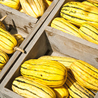 Winter Squash- Delicata 25g