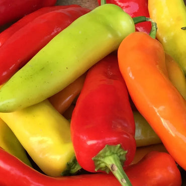 Capsicum- Hungarian Sweet Wax Red