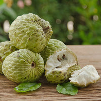 Sugar Apple