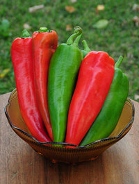 Capsicum- Bull Horn Red