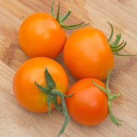 Valencia – Organic Tomato Seed