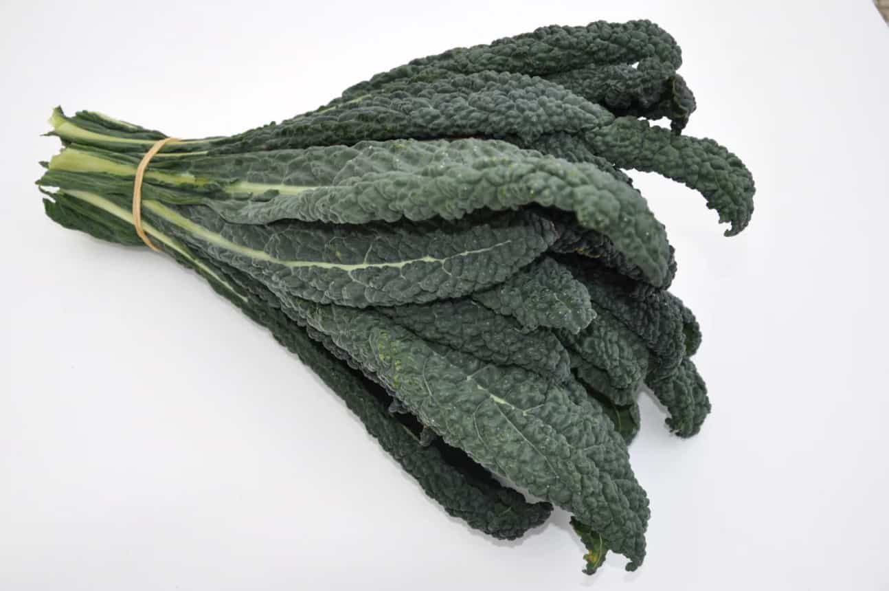 Toscano – Organic Kale Seed