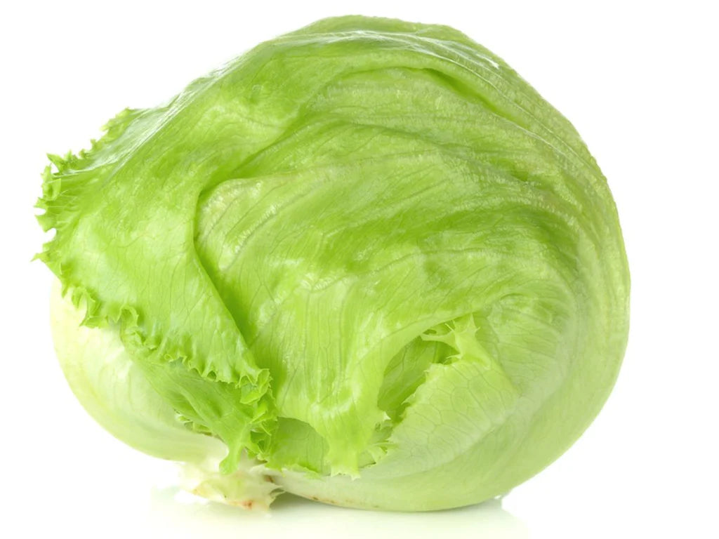 Lettuce- Iceberg