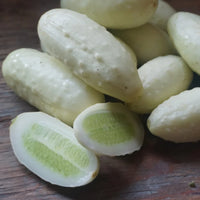 Cucumber- Mini White