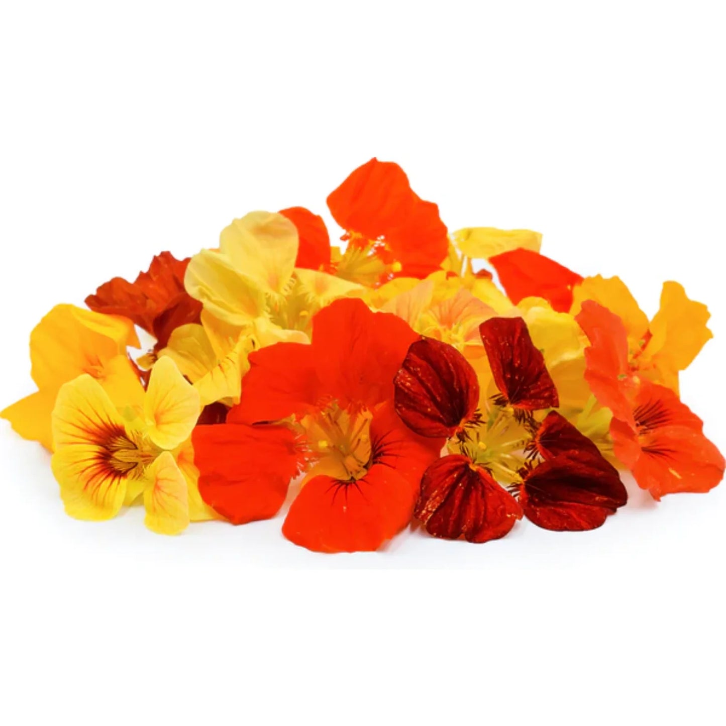 Alaska Mix – Nasturtium Seed