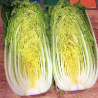 Cabbage, Chinese- Michihili