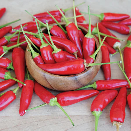 Hot Pepper Red Sampurna Vegetable Seeds