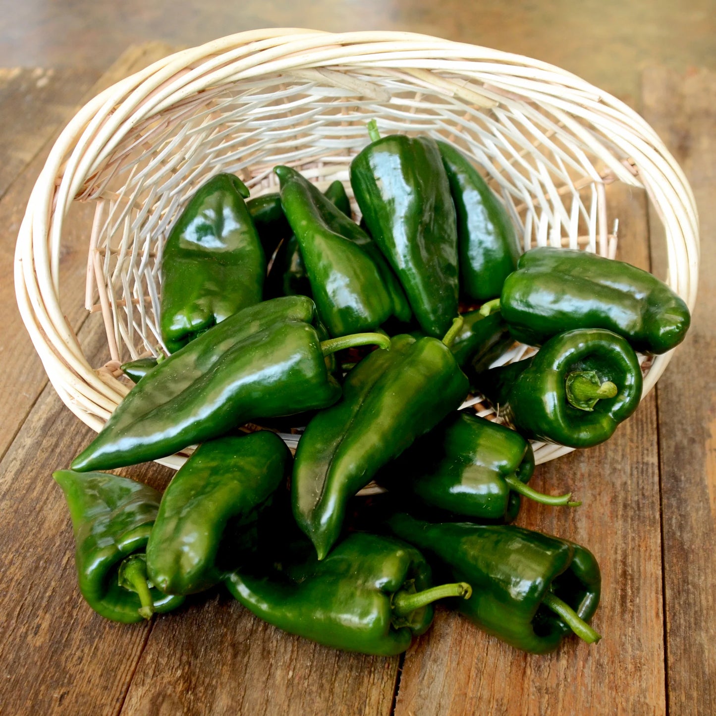 Bastan – Poblano Pepper Seed