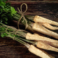 Parsnip- Guernsey