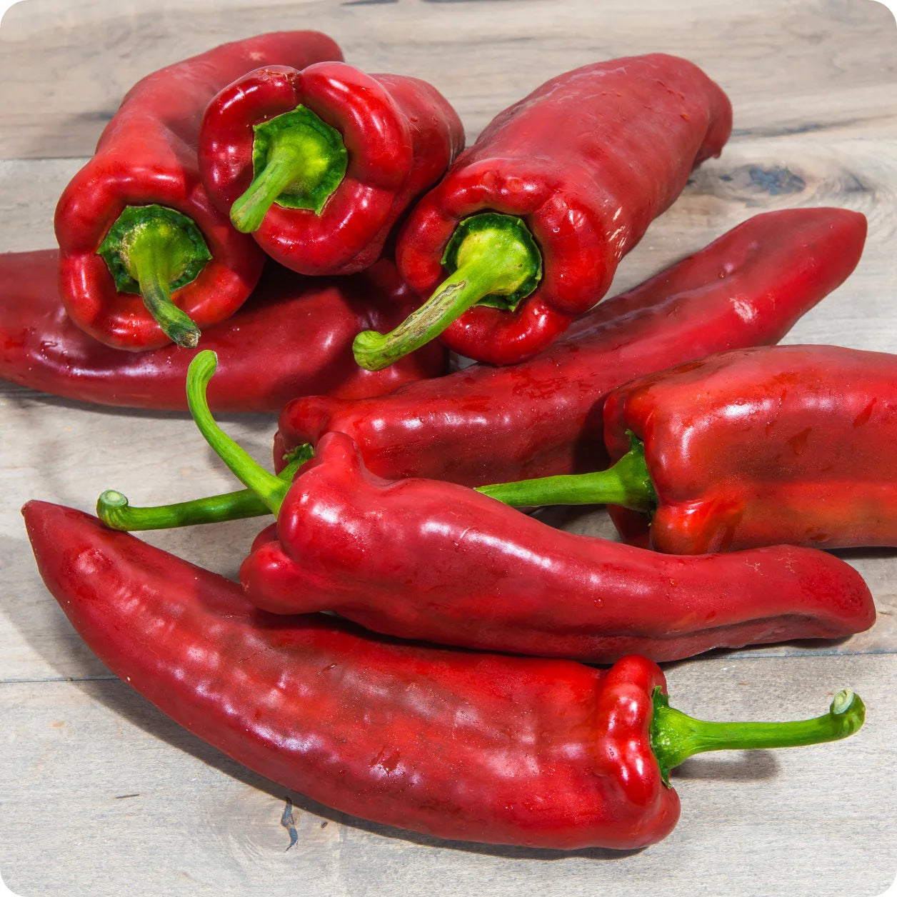 Capsicum- Bull Horn Red