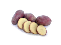 Certified Seed Potato- Royal Blue