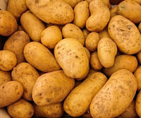 Certified Seed Potato- Sebago