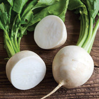 Radish- Hailstone