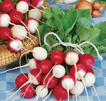 Radish- Confetti Mix