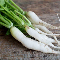 Radish Japani White Vegetable Seeds