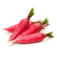 Radish- Mini Daikon Red F1