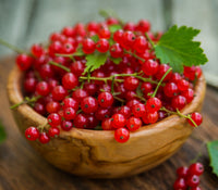 Red Currant