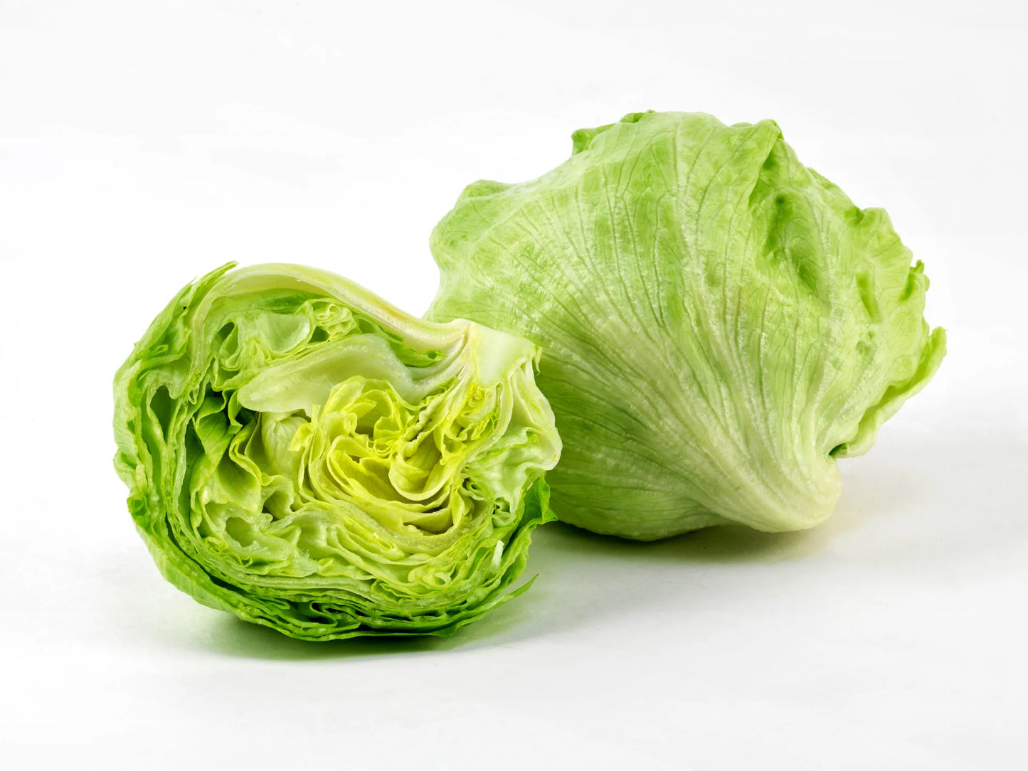 Lettuce- Iceberg