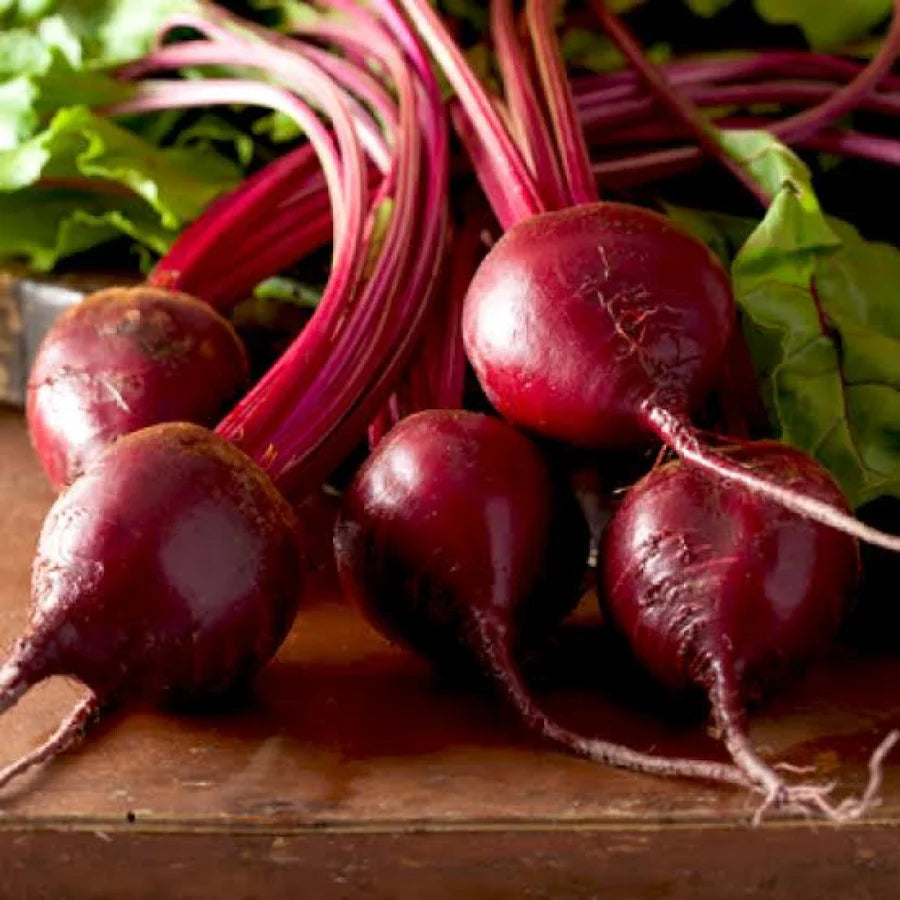 Beetroot Ruby Queen Vegetable Seeds