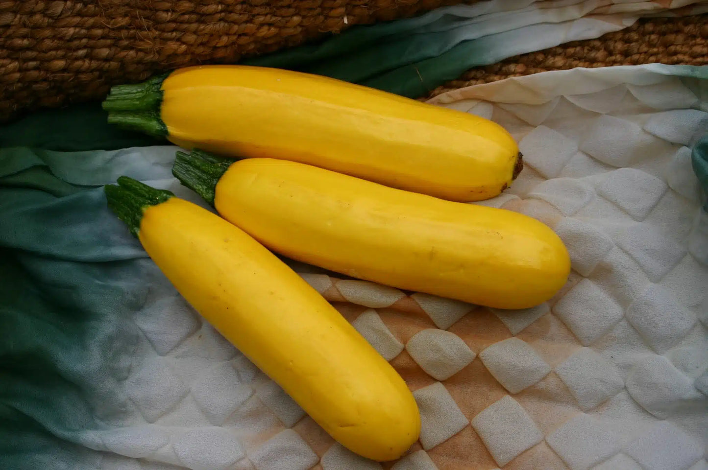 Yellowfin – Organic Zucchini Seeds