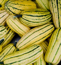 Winter Squash- Delicata 25g