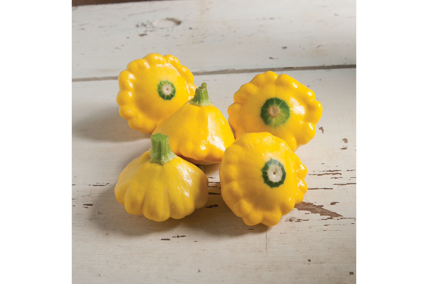 Y-Star – Organic Patty Pan Squash Seeds